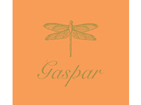 Gaspar Express &#8211; Gaspar Home