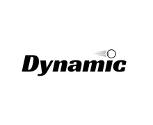 SGD &#8211; DYNAMIC